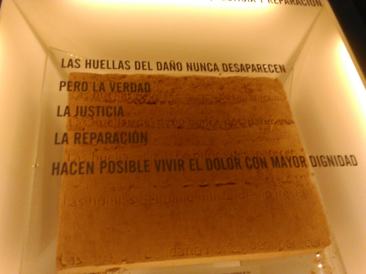 Carta a una herida de bala