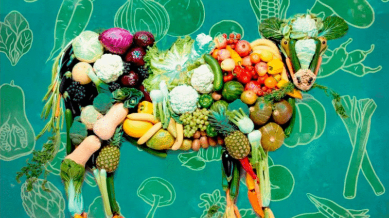 La Moralización de la Dieta: De la Ética animal a la Ideología Progresista del  Veganismo